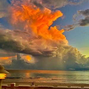 Meet your Posher, Macy